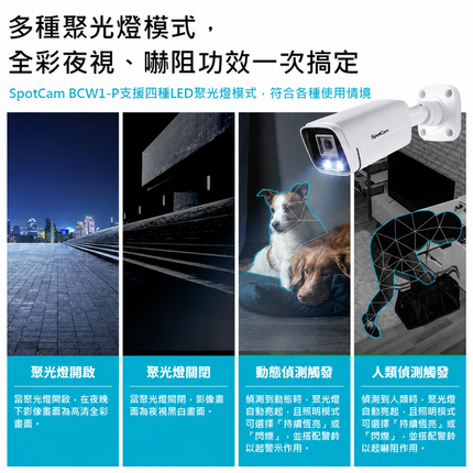 SpotCam BCW1-P