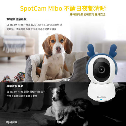 SpotCam Mibo + AI 寵物攝影機毛孩照護組