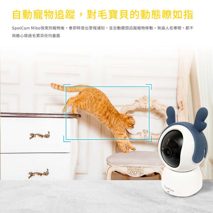 SpotCam Mibo + AI 寵物攝影機毛孩照護組